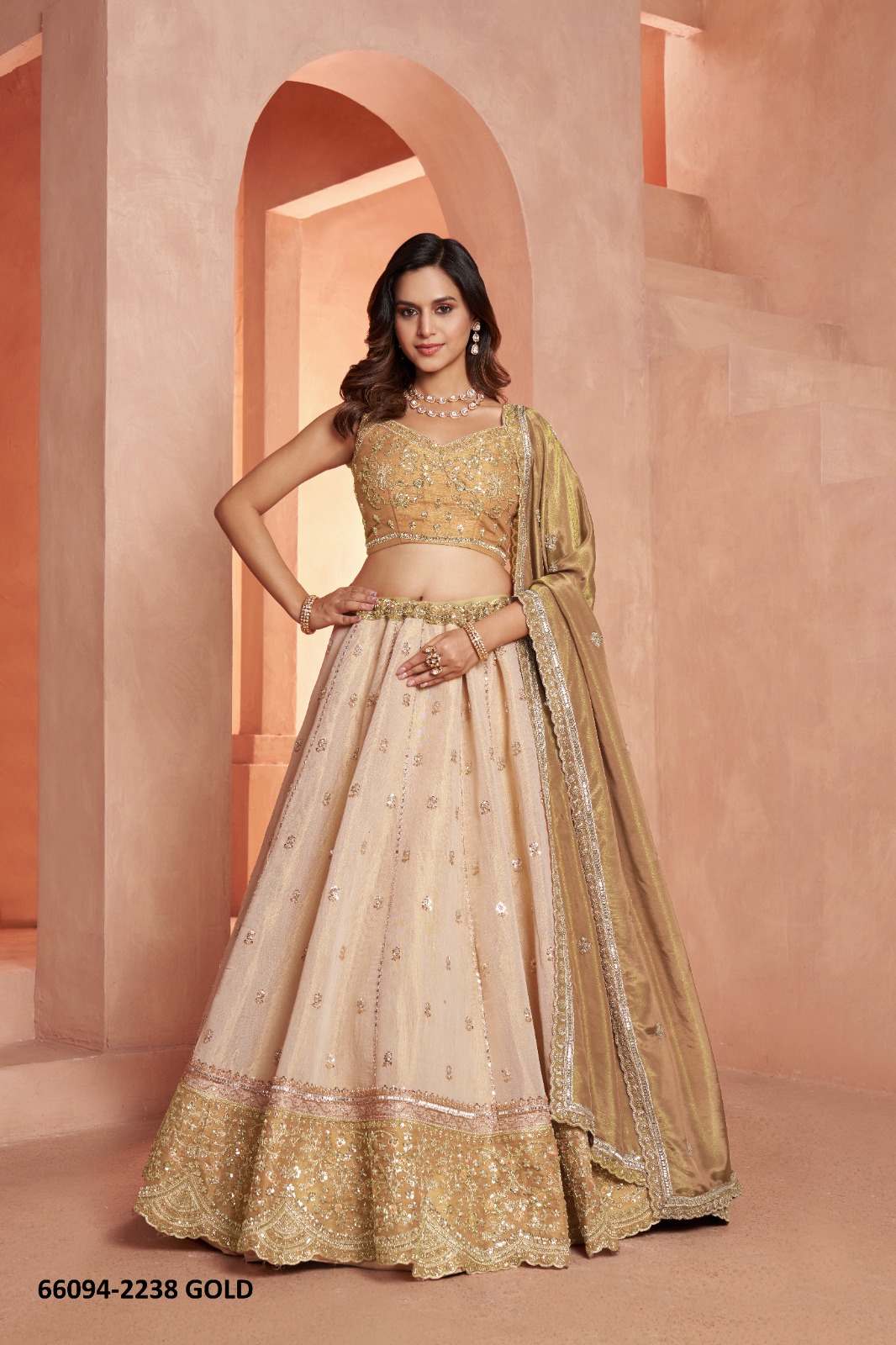 Magnificent Lahenga Choli